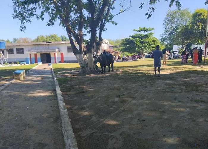 Morada Das Mangueiras Em Soure