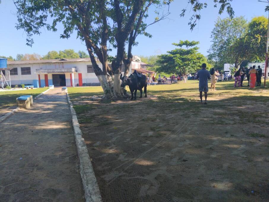 Morada Mangueiras Em