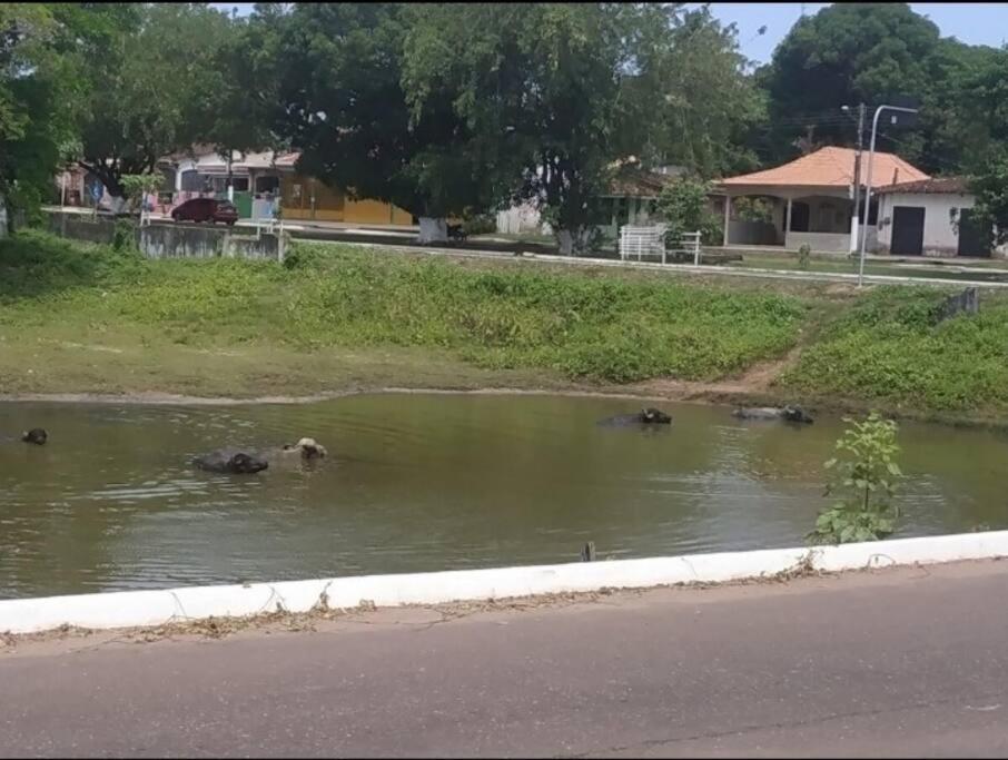 Holiday home Morada Mangueiras Em *